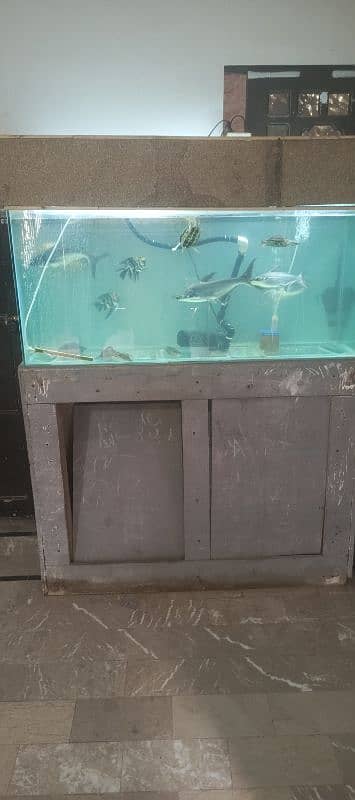 4fit aquarium with fishes 3