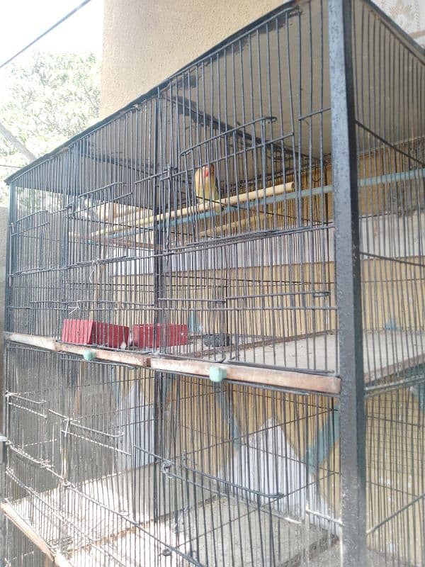 bird pinjra  bird cage  cage in other bird  cage in animal 3