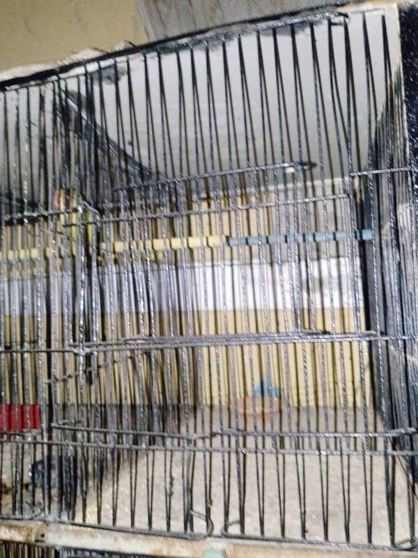 bird pinjra  bird cage  cage in other bird  cage in animal 4