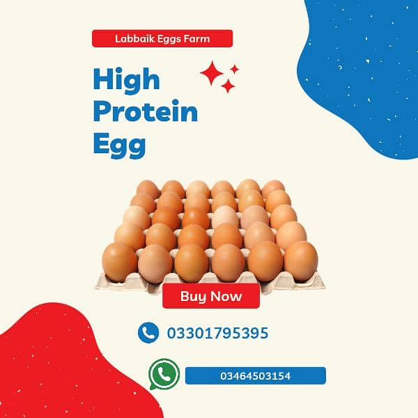 desi eggs available 0