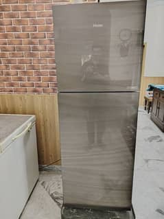 Haier Latest Refrigerator