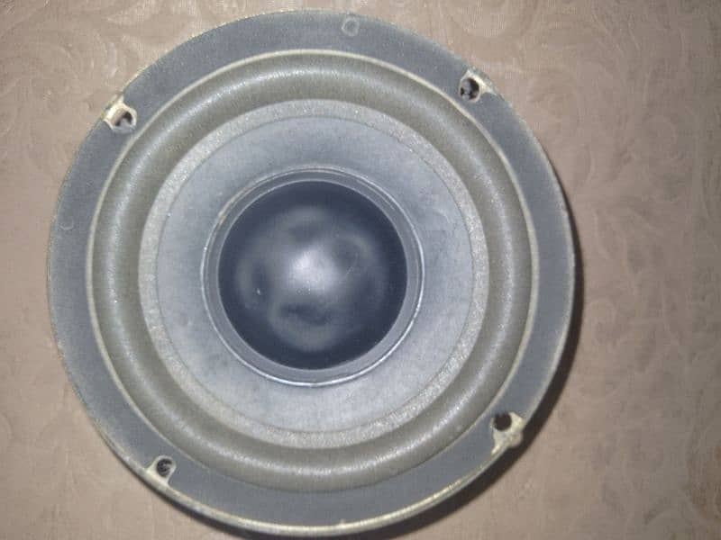 Audionic woofer 0