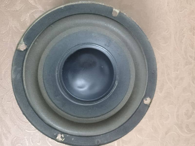 Audionic woofer 1