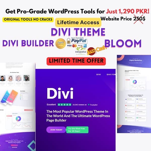 divi Theme Original 0