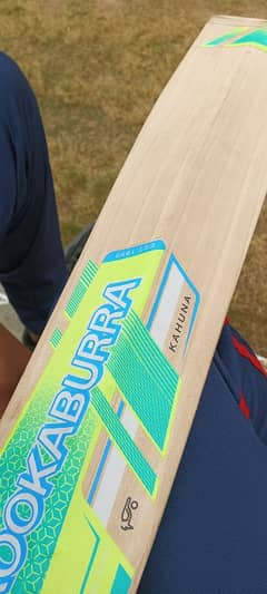 English willow Original Mids bat