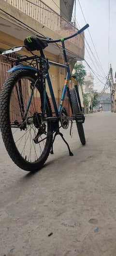 phonix bicycle