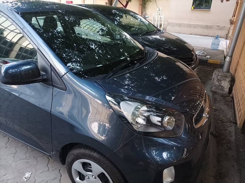 KIA Picanto 2022 Latest 0