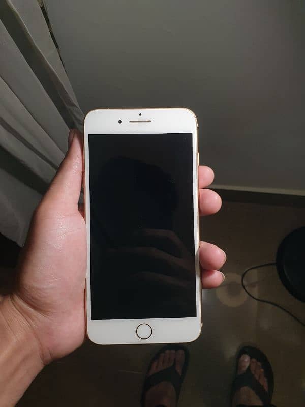 iPhone 8 plus 0