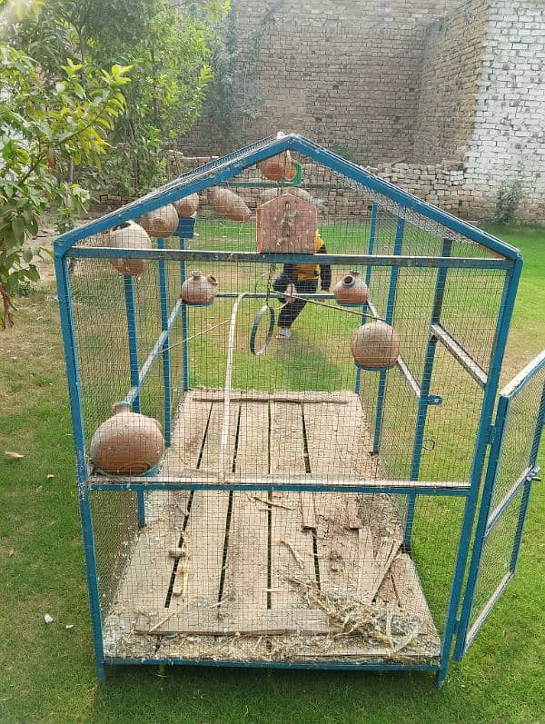 parrot or hen cage for sale 4x6sq 2