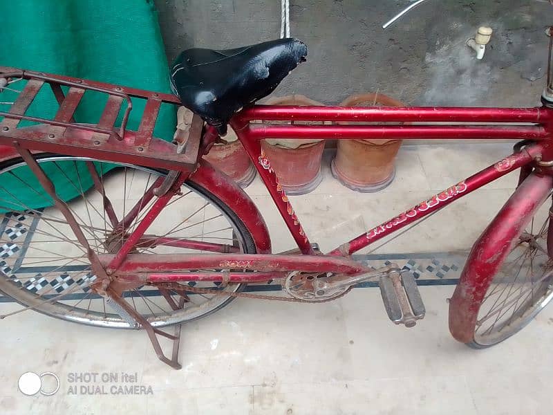 Shoraab cycle for sale 03006604001 Mera num ha 1