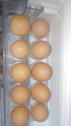 Desi Eggs (from House Hens)