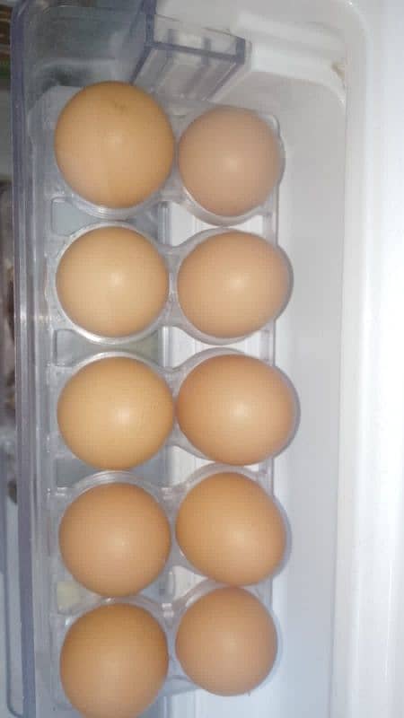 Desi Eggs (from House Hens) 0