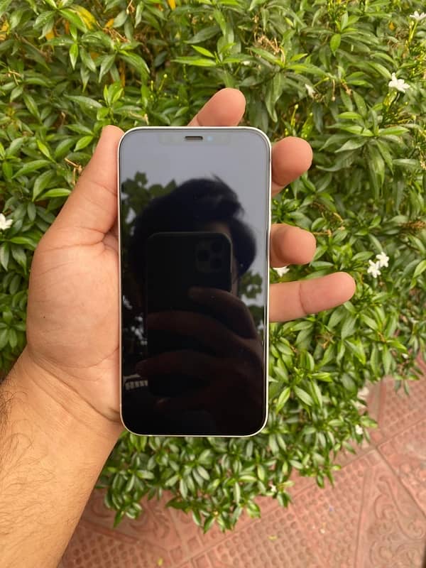 iPhone 12 With Box Dual Sim Pta Approved 64gb 10/10 Condition 1