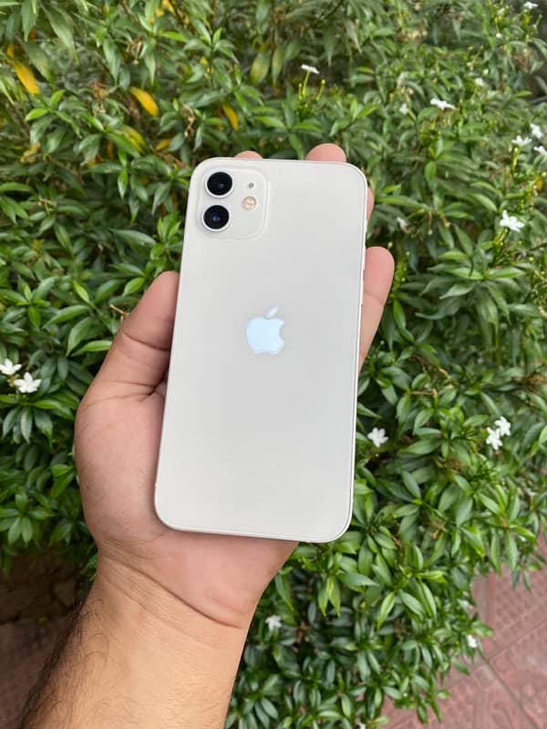 iPhone 12 With Box Dual Sim Pta Approved 64gb 10/10 Condition 0