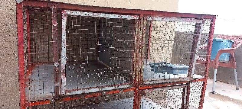 Urgent sale Hen Cage 3