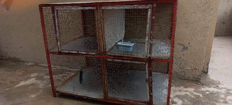 Urgent sale Hen Cage 4