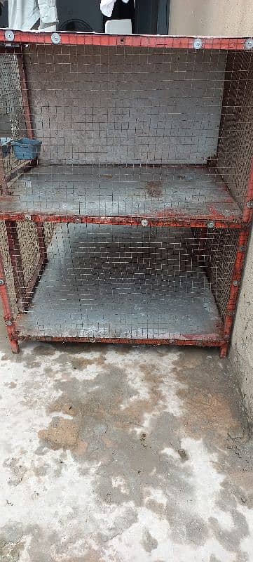 Urgent sale Hen Cage 8