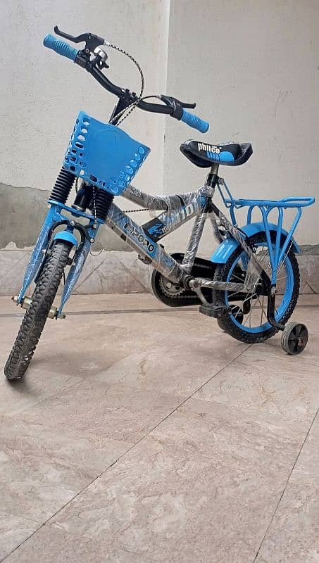 kids bicycle 2