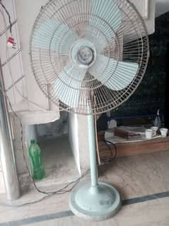 sale Fan