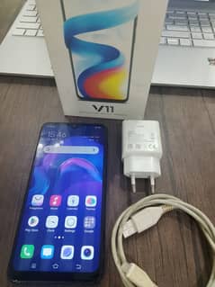 Vivo