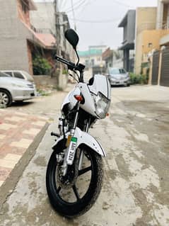 Yamaha YBR 125  White