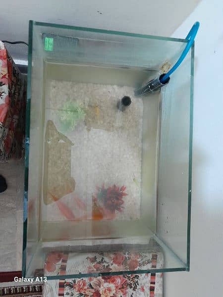 Aquarium For Sale Alongwith 03 Gold Fish and 02 Small Size Fish 1