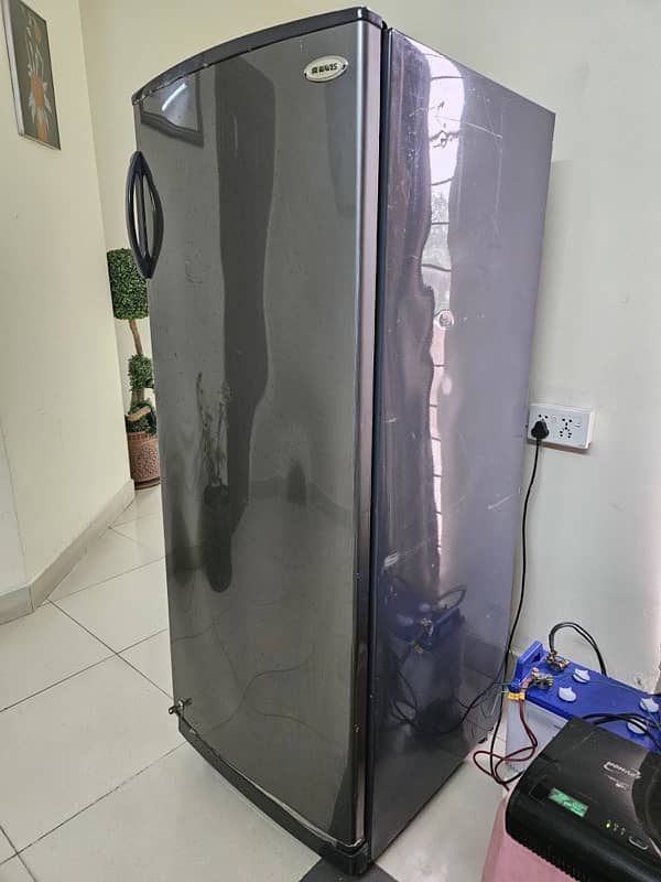 Vertical Freezer For Sale 2