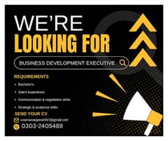 Business Development Executive