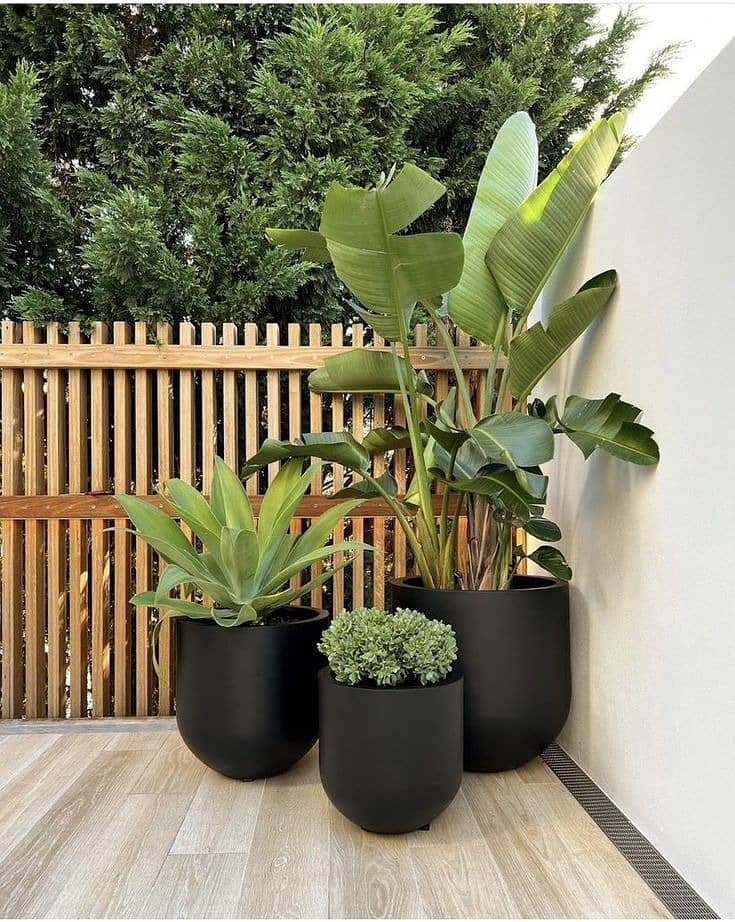 Planter / plant pots / gamla / plant pots / plants pot / gamle 10