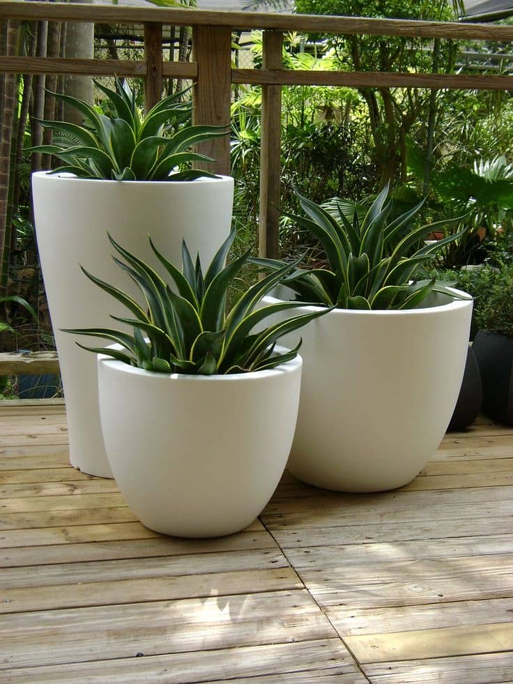 Planter / plant pots / gamla / plant pots / plants pot / gamle 16