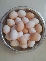 Fresh Organic Desi Egg Home Breed