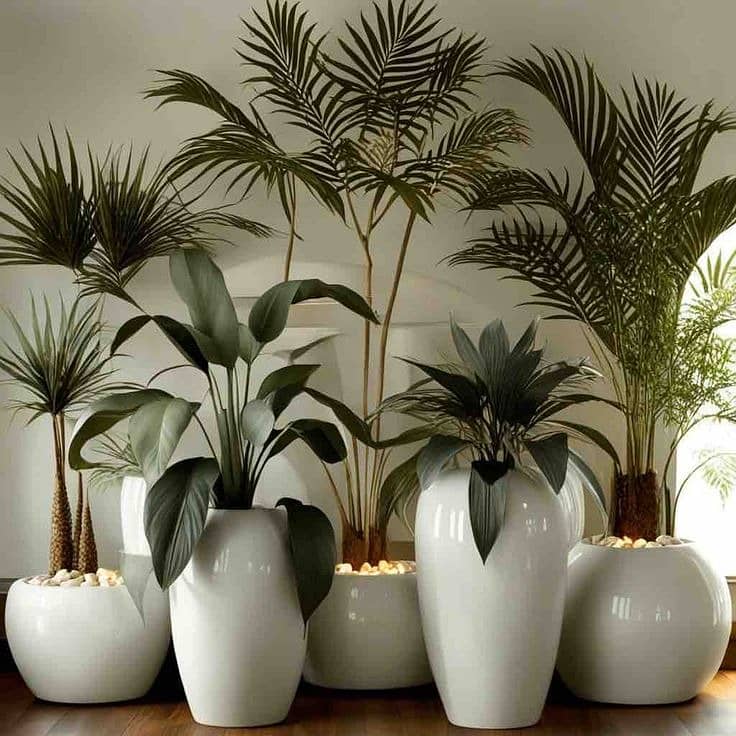 Planter / plant pots / gamla / plant pots / plants pot / gamle 13