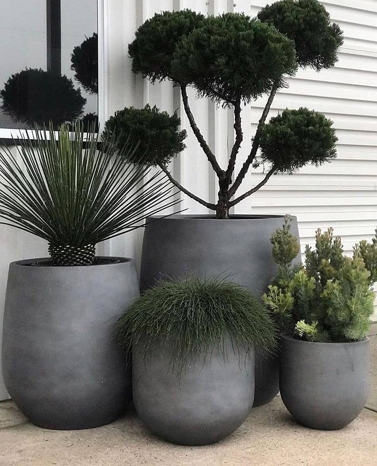 Planter / plant pots / gamla / plant pots / plants pot / gamle 18