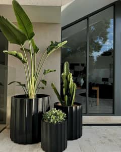 Planter / plant pots / gamla / plant pots / plants pot / gamle