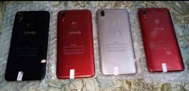 vivo