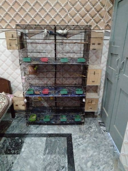 Full setup for sale Home Breeder Love Bird 1