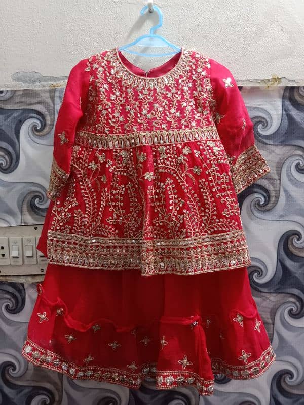 2 year baby girls drees only one time used 4