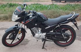 Yamaha