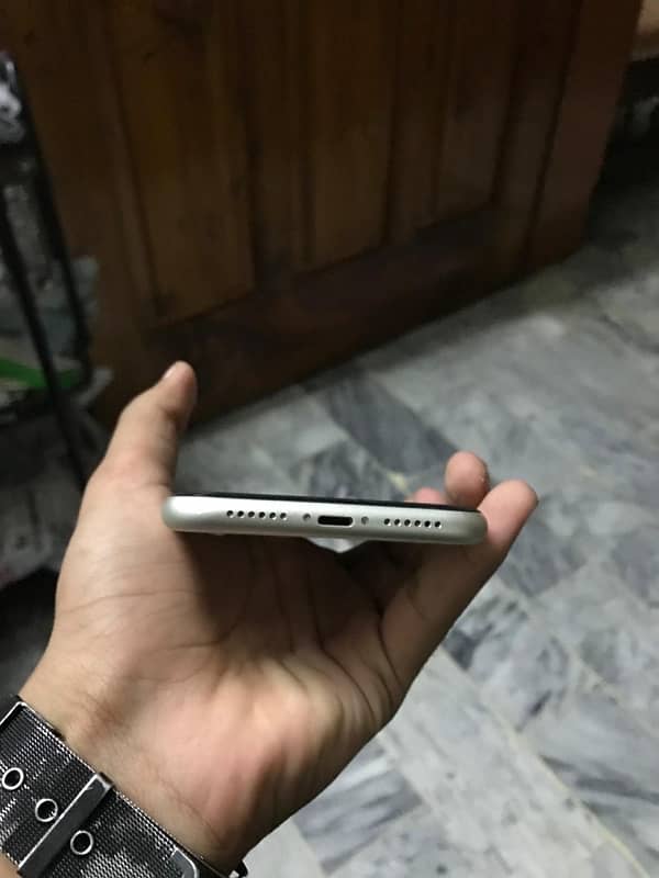 iPhone 11 (128 Gb) non pta 4