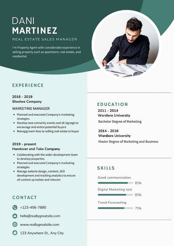 Create Professional Resume 3