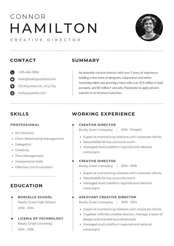 Create Professional Resume 4