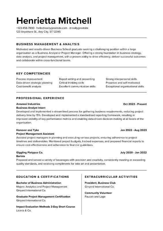 Create Professional Resume 8