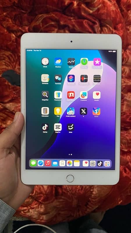 iPad Mini 5 (10/9) 0