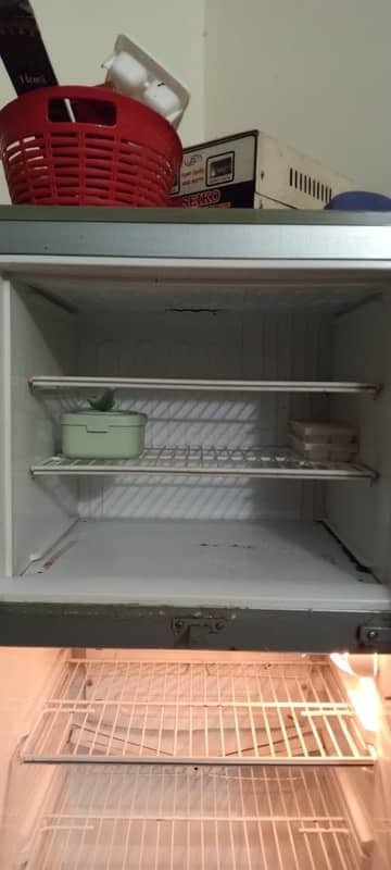 PEL Refrigerator 6