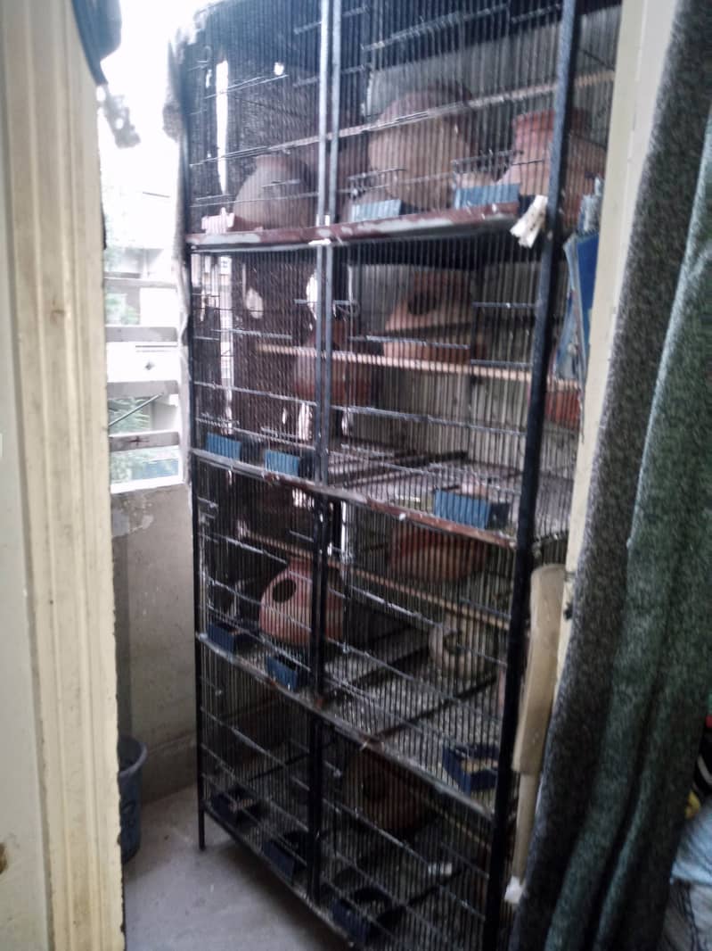 4 portions Parrot Cage with all accessories 0