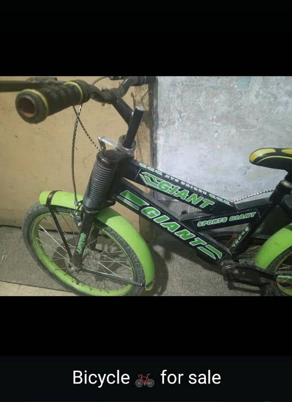 Cycle just few Days used 0