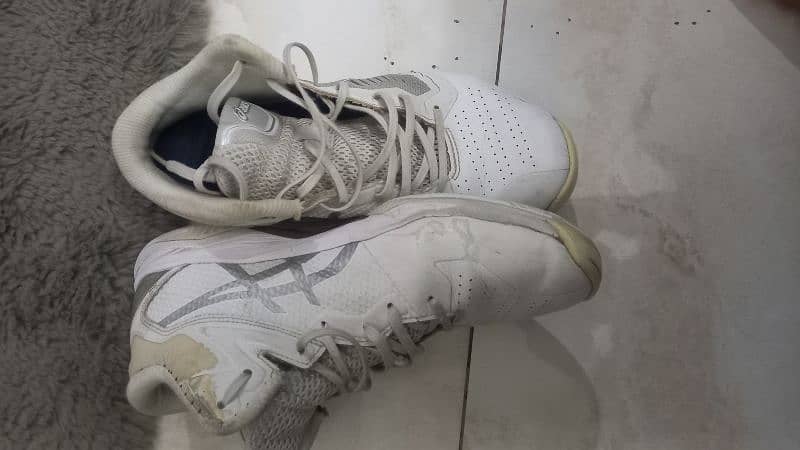 Asics non Marking Shoes 2