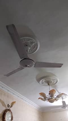 Ceiling Fan