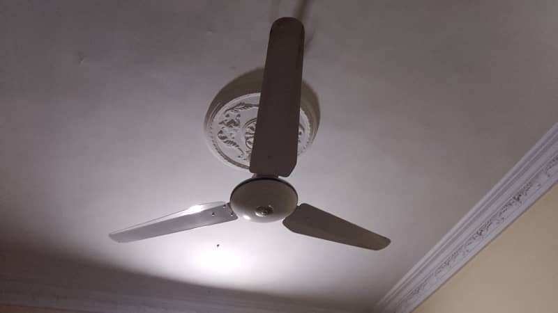 Ceiling Fan 1