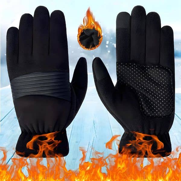 Winter Gloves 0